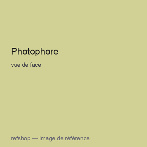 Photophore, vue de face