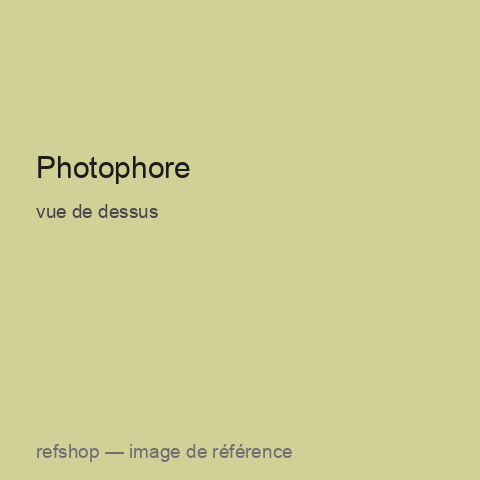 Photophore, vue de dessus